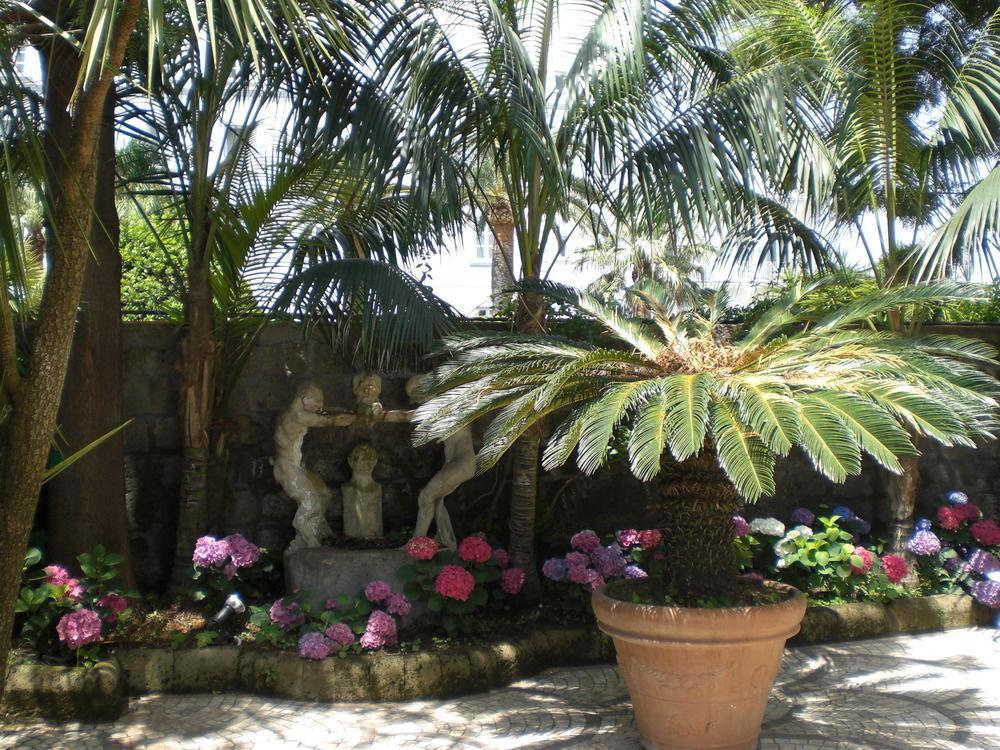 Villa Dei D'Armiento Sant'Angelo  Exterior photo
